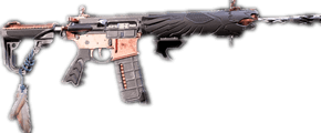 Eagle Bearer - The Division 2 Items